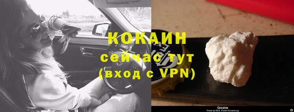 прущие грибы Покачи