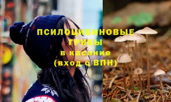 прущие грибы Покачи