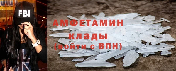 прущие грибы Покачи