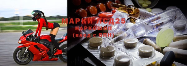 прущие грибы Покачи