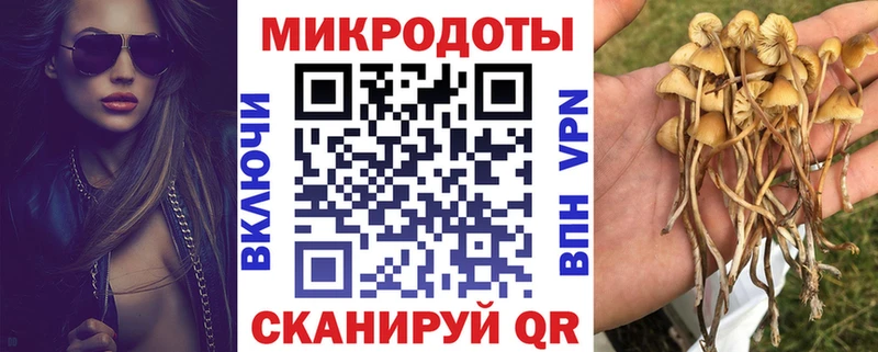 Галлюциногенные грибы мицелий  Купить  Пенза 