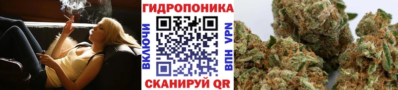 Купить где  Пенза  Бошки марихуана тримм 